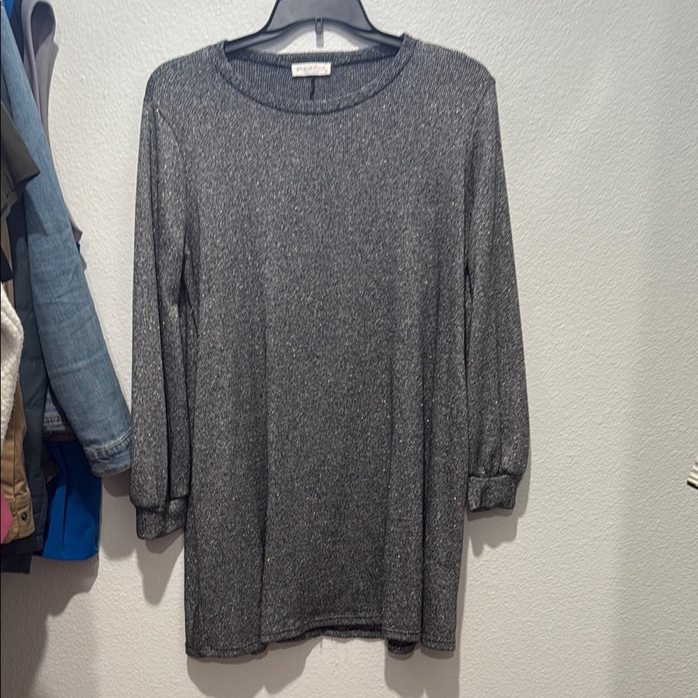 Ming Wang Shimmering Silver Long Sleeve Dress